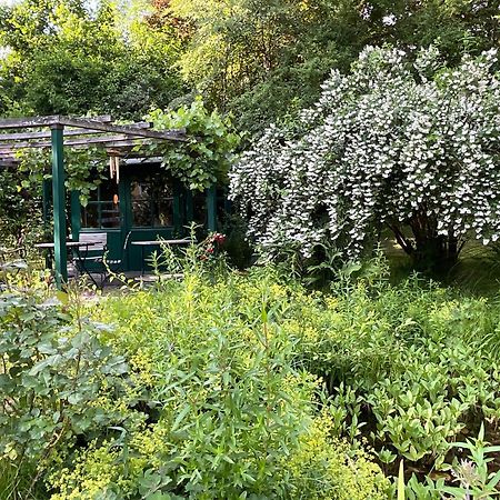 Design Ferienwohnung Mit Bauerngarten Waldkirchen Exterior foto